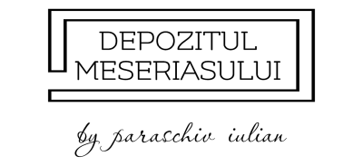PARASCHIV IULIAN TRANSPORT