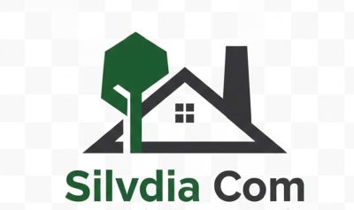 SILVDIA COM